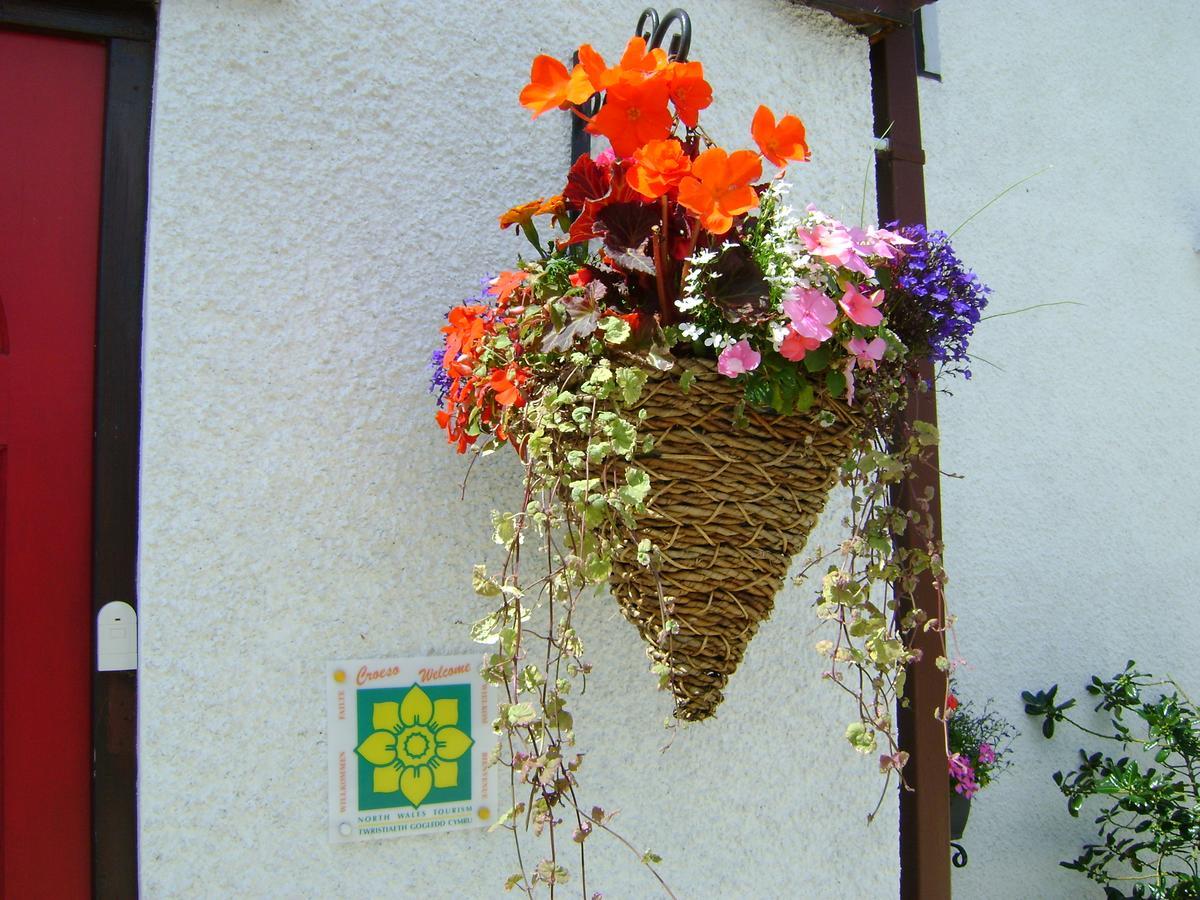 Celyn Villa Bed And Breakfast Holywell  Exterior photo
